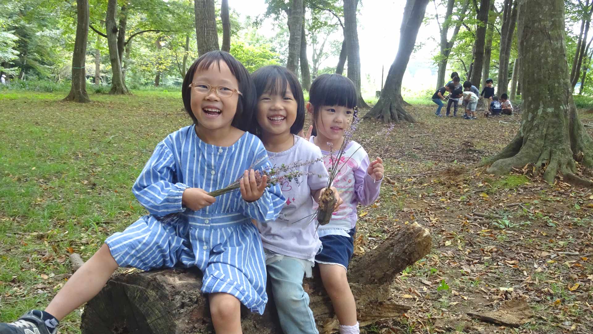 ろりぽっぷ幼稚園の園庭